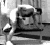 http://www.rbimba.lt/assets/images/muscles/raumenys/rankos_25.gif