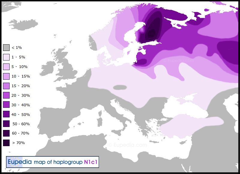 n1c1